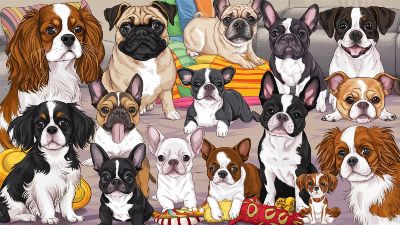 Best Small Dog Breeds for Apartments and Families