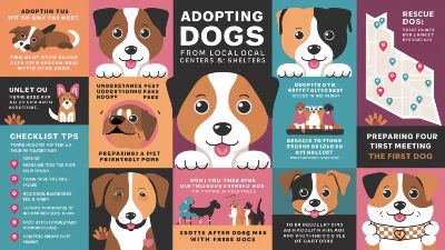 Adopt a Dog Near Me – Rescue and Shelter Guide