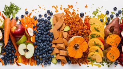 Healthy Homemade Dog Food Recipes with Fruits