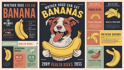 Can Dogs Eat Bananas – Benefits and Health Risks