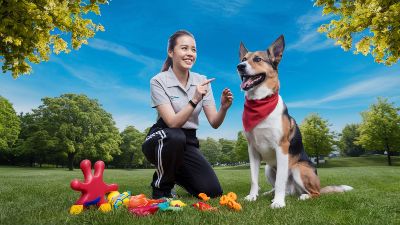 Dog Training Near Me – Find the Best Local Trainers