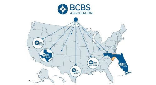 A diagram showing how the national BCBS Association is made of many independent, state-level companies.