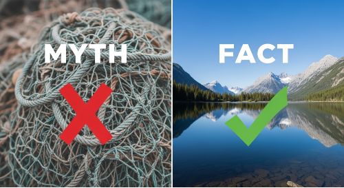 A graphic comparing insurance myths (with a red X) and facts (with a green checkmark).